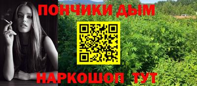 крисы Дубна